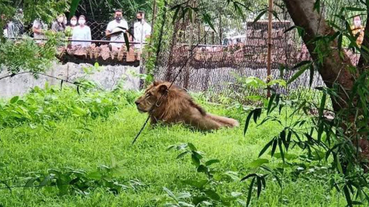 वन विहार राष्ट्रीय उद्यान में पर्यटकों के प्रवेश के लिये संशोधित दरें प्रभावशील संशोधित दरें आज से लागू