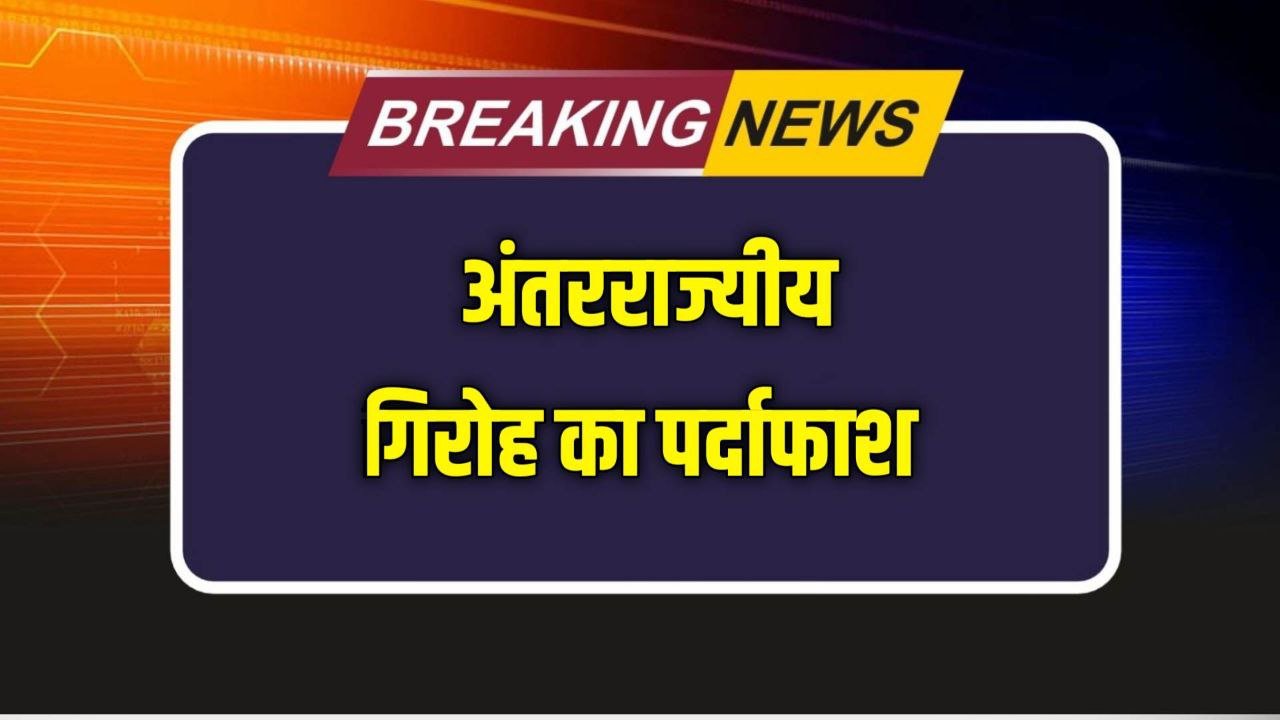 भोलेभाले किसानों को लूटने वाले अंतरराज्यीय गिरोह का बैतूल में पर्दाफाश कई गिरफ्तार