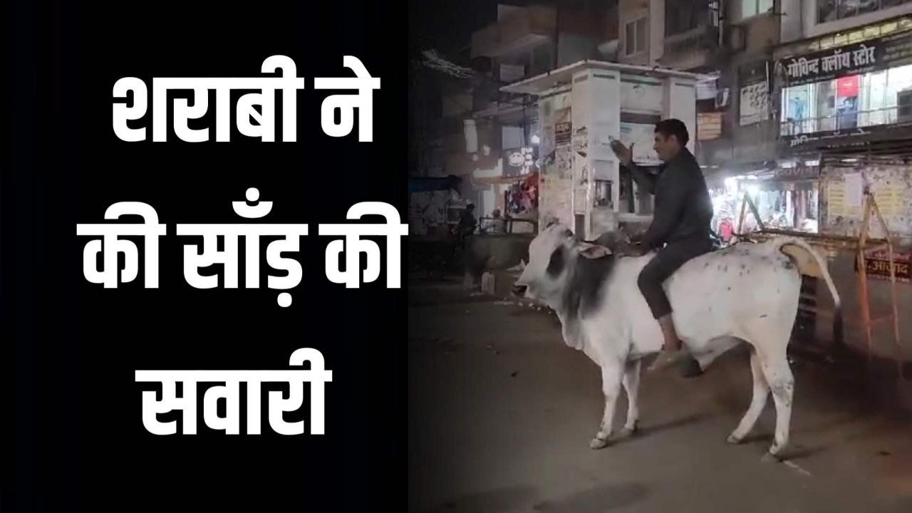 शराबी ने की साँड़ की सवारी वीडियो हुआ वायरल